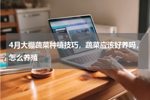 4月大棚蔬菜种植技巧，蔬菜应该好养吗，怎么养殖