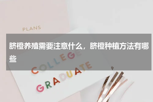 脐橙养殖需要注意什么，脐橙种植方法有哪些