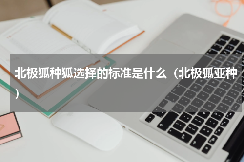 北极狐种狐选择的标准是什么（北极狐亚种）