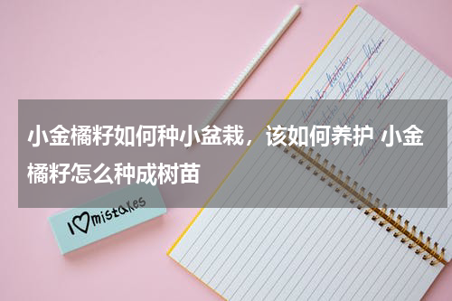 小金橘籽如何种小盆栽，该如何养护 小金橘籽怎么种成树苗