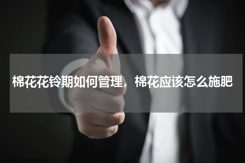 棉花花铃期如何管理，棉花应该怎么施肥