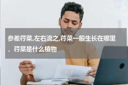 参差荇菜,左右流之,荇菜一般生长在哪里，荇菜是什么植物
