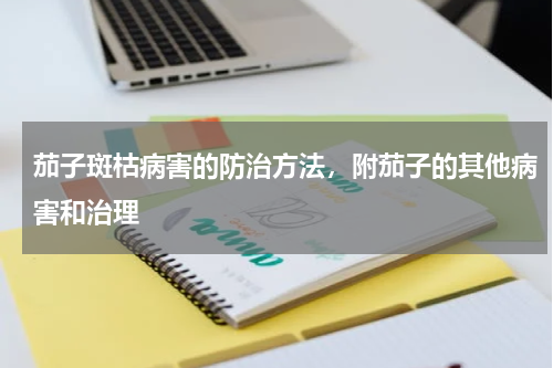 茄子斑枯病害的防治方法，附茄子的其他病害和治理