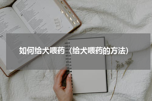 如何给犬喂药（给犬喂药的方法）