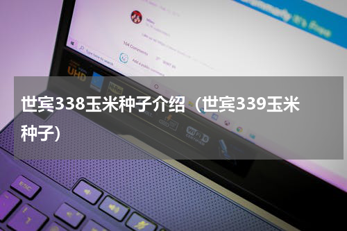 世宾338玉米种子介绍（世宾339玉米种子）