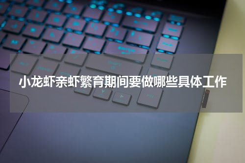 小龙虾亲虾繁育期间要做哪些具体工作