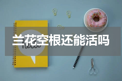 兰花空根还能活吗