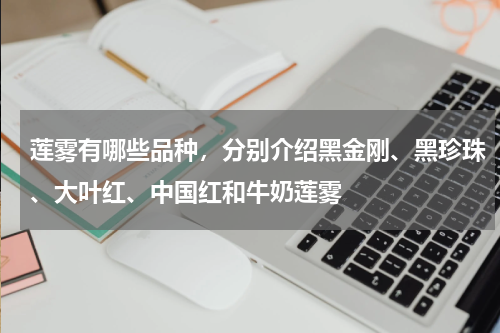 莲雾有哪些品种，分别介绍黑金刚、黑珍珠、大叶红、中国红和牛奶莲雾