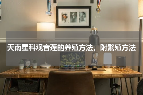 天南星科观音莲的养殖方法，附繁殖方法