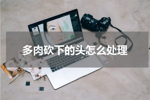 多肉砍下的头怎么处理