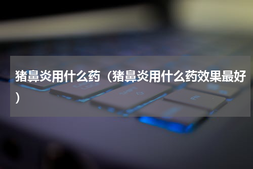 猪鼻炎用什么药（猪鼻炎用什么药效果最好）