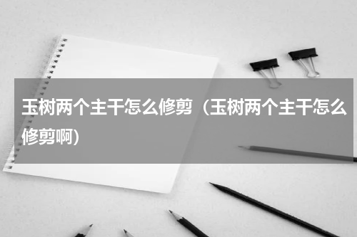玉树两个主干怎么修剪（玉树两个主干怎么修剪啊）