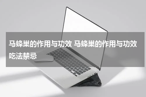 马蜂巢的作用与功效 马蜂巢的作用与功效吃法禁忌