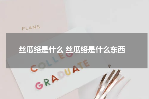 丝瓜络是什么 丝瓜络是什么东西