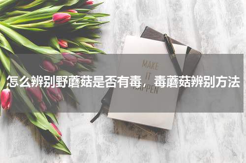 怎么辨别野蘑菇是否有毒，毒蘑菇辨别方法