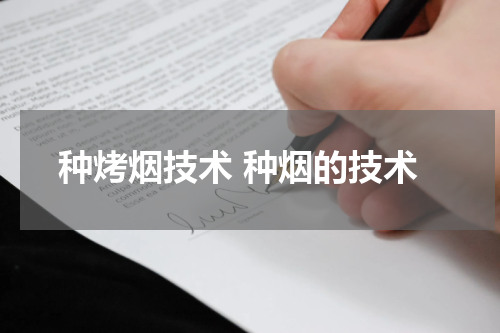 种烤烟技术 种烟的技术