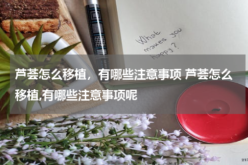 芦荟怎么移植，有哪些注意事项 芦荟怎么移植,有哪些注意事项呢