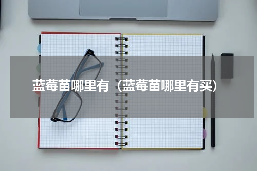 蓝莓苗哪里有（蓝莓苗哪里有买）