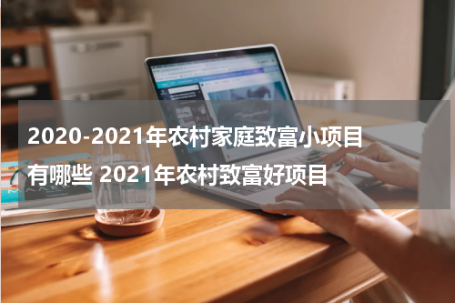 2020-2021年农村家庭致富小项目有哪些 2021年农村致富好项目