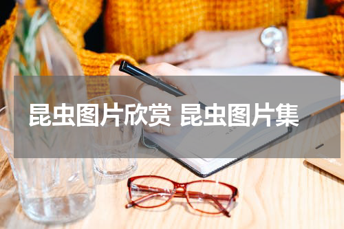 昆虫图片欣赏 昆虫图片集