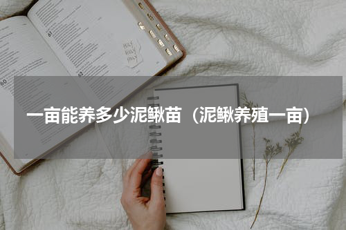 一亩能养多少泥鳅苗（泥鳅养殖一亩）