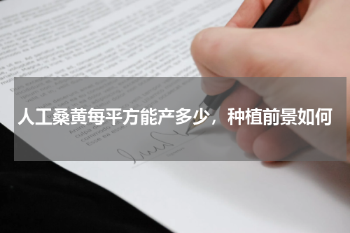 人工桑黄每平方能产多少，种植前景如何