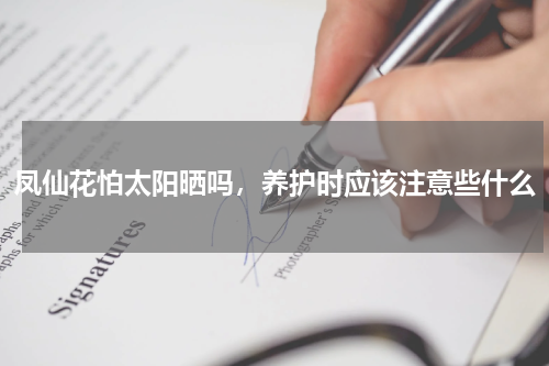 凤仙花怕太阳晒吗，养护时应该注意些什么