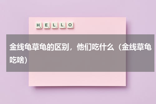 金线龟草龟的区别，他们吃什么（金线草龟吃啥）