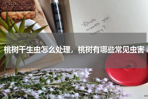 桃树干生虫怎么处理，桃树有哪些常见虫害