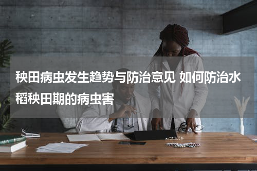 秧田病虫发生趋势与防治意见 如何防治水稻秧田期的病虫害