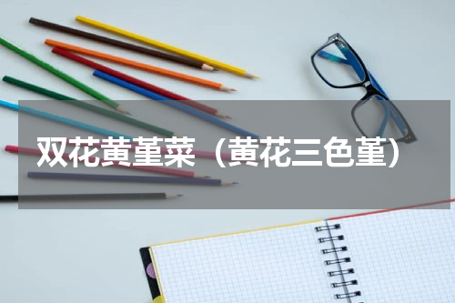双花黄堇菜（黄花三色堇）