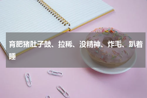 育肥猪肚子鼓、拉稀、没精神、炸毛、趴着睡