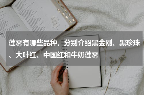 莲雾有哪些品种，分别介绍黑金刚、黑珍珠、大叶红、中国红和牛奶莲雾