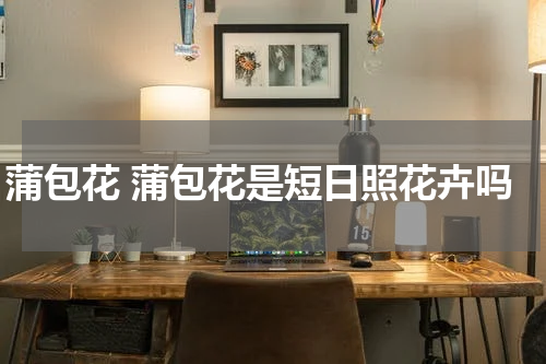 蒲包花 蒲包花是短日照花卉吗