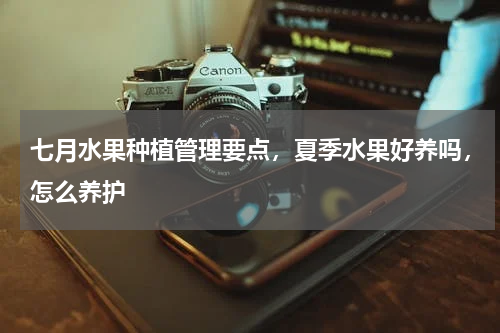 七月水果种植管理要点，夏季水果好养吗，怎么养护