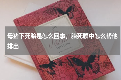 母猪下死胎是怎么回事，胎死腹中怎么帮他排出