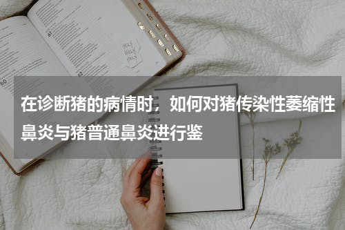 在诊断猪的病情时，如何对猪传染性萎缩性鼻炎与猪普通鼻炎进行鉴