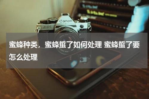 蜜蜂种类，蜜蜂蜇了如何处理 蜜蜂蜇了要怎么处理