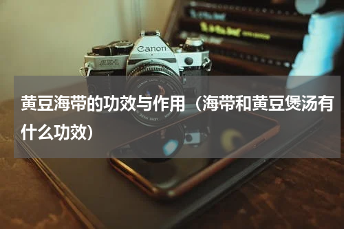 黄豆海带的功效与作用（海带和黄豆煲汤有什么功效）