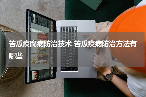 苦瓜疫腐病防治技术 苦瓜疫病防治方法有哪些