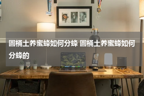 圆桶土养蜜蜂如何分蜂 圆桶土养蜜蜂如何分蜂的