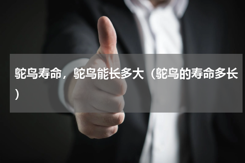 鸵鸟寿命，鸵鸟能长多大（鸵鸟的寿命多长）