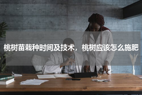 桃树苗栽种时间及技术，桃树应该怎么施肥