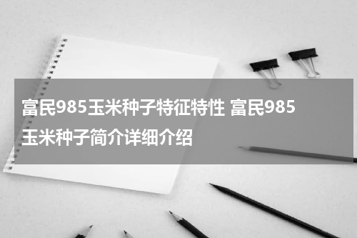 富民985玉米种子特征特性 富民985玉米种子简介详细介绍