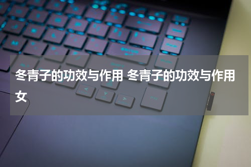 冬青子的功效与作用 冬青子的功效与作用女