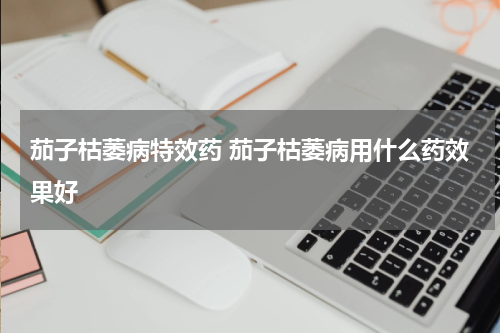 茄子枯萎病特效药 茄子枯萎病用什么药效果好