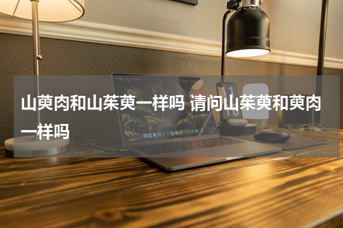 山萸肉和山茱萸一样吗 请问山茱萸和萸肉一样吗