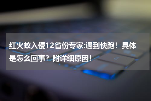 红火蚁入侵12省份专家:遇到快跑！具体是怎么回事？附详细原因！