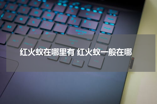 红火蚁在哪里有 红火蚁一般在哪