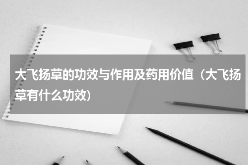 大飞扬草的功效与作用及药用价值（大飞扬草有什么功效）